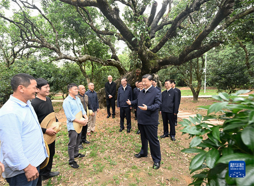 不朽情缘MG(中国区)官方网站 -首页入口